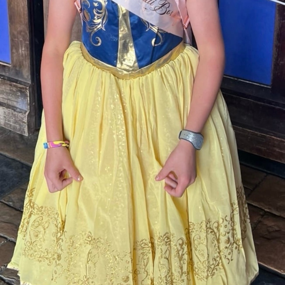 Bippity Boppity Boutique Snow White Gown